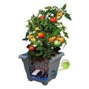Kvetináč samozavlažovací BERGAMOT