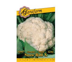 Karfiol Snow ball X - letný