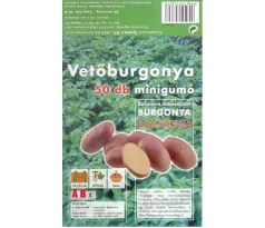 Holandské sadivo zemiakov / minihľuzy 50ks - AMOROSA
