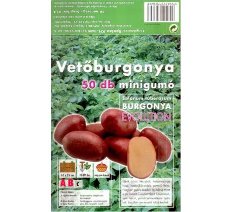 Holandské sadivo zemiakov / minihľuzy 50ks - EVOLUTION