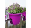 Truhlík na zábradlie BALCONIA 60 fuchsia