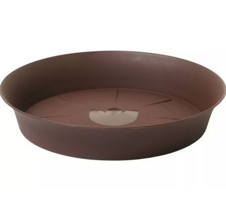 Podmiska Tulipán 50 čoko