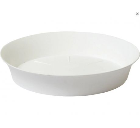 Podmiska Tulipán 24 biela
